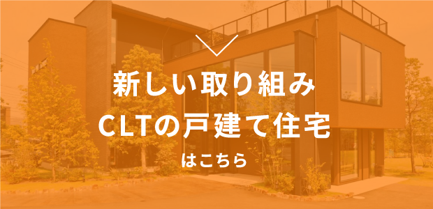 新しい取り組み