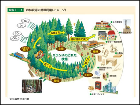 “15分で分かるCLT”のC